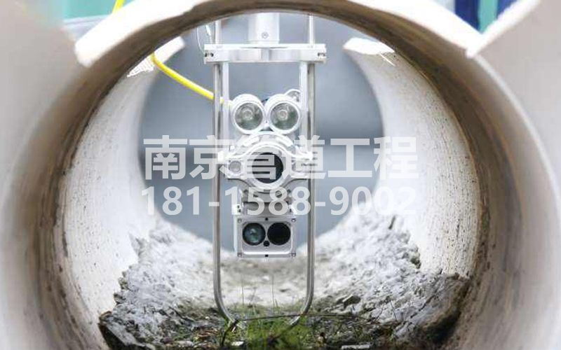 221仙鹤门QV检测